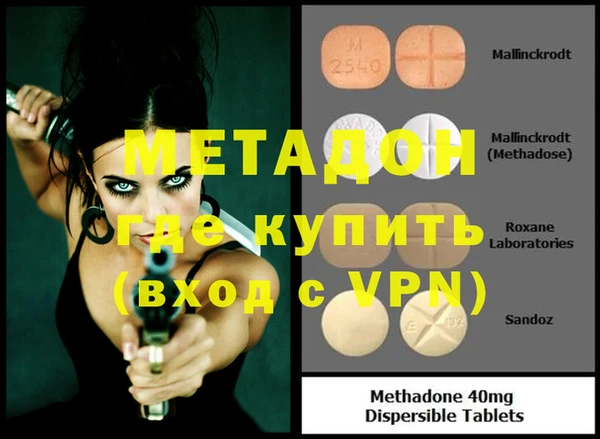 индика Богданович