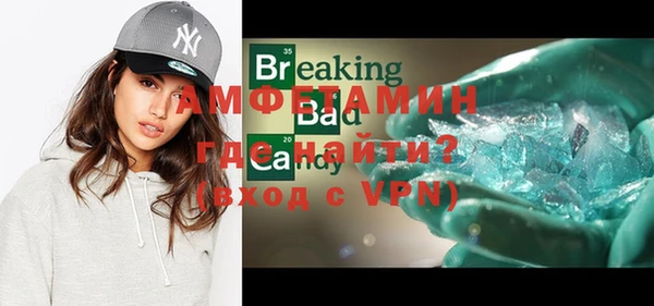 индика Богданович