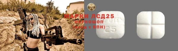 индика Богданович