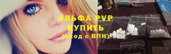 индика Богданович
