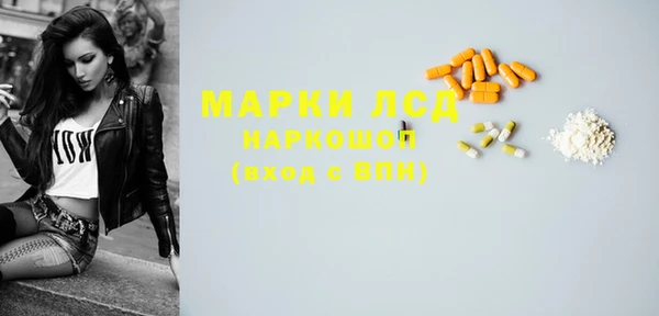 индика Богданович