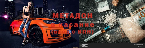 индика Богданович