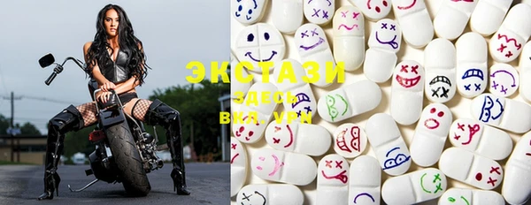 ECSTASY Богородицк