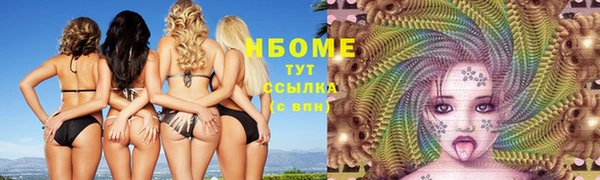 индика Богданович