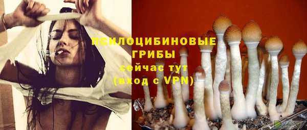 ECSTASY Богородицк