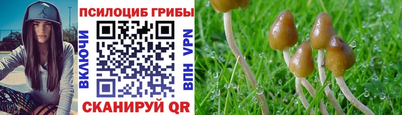 Псилоцибиновые грибы ЛСД  Туринск 